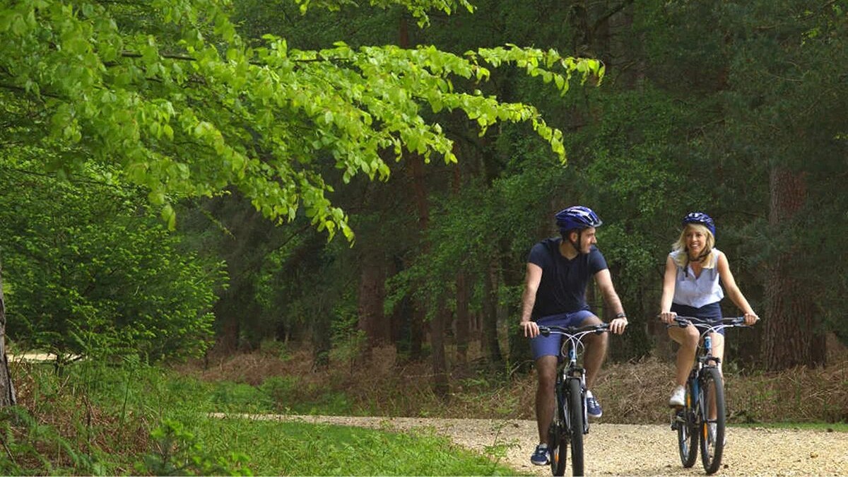 Обложка подборки маршрутов «Лучшие веломаршруты по экотропам Ленинградской области»