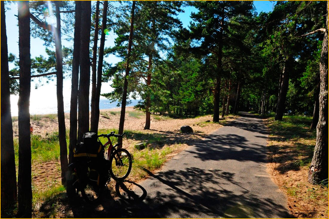 Сестрорецк - Зеленогорск