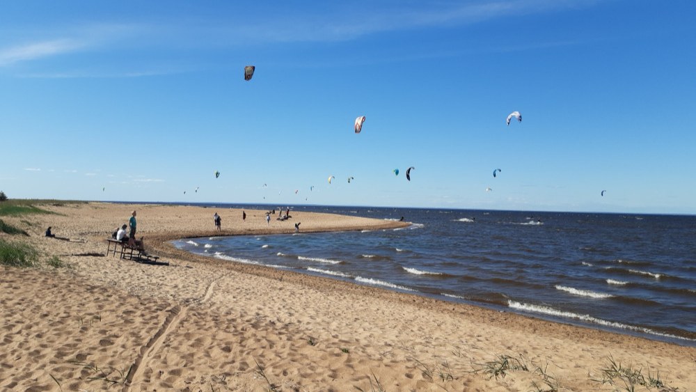 Обложка маршрута «Берег Финского залива (Лебяжье)»