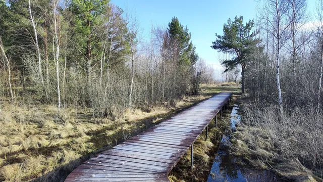 Обложка маршрута «Экотропа - Ладожские берега»