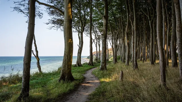 Обложка маршрута «Экотропа «Мыс Киперорт»»