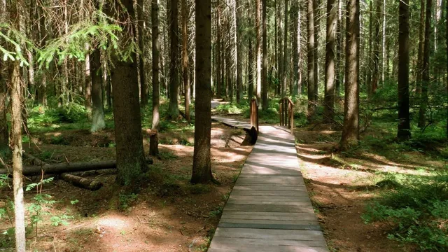 Обложка маршрута «Кавголовский парк»