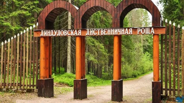 Обложка маршрута «Линдуловская роща»