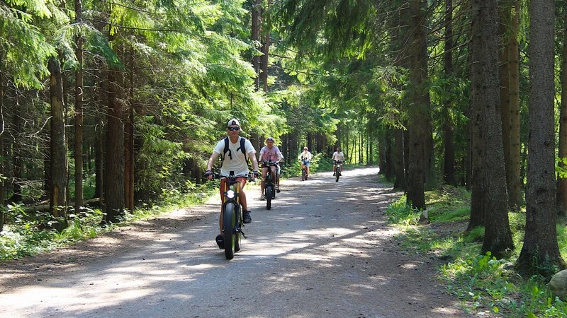 Обложка маршрута «Веломаршрут Лисий нос — Серово вдоль Финского залива»