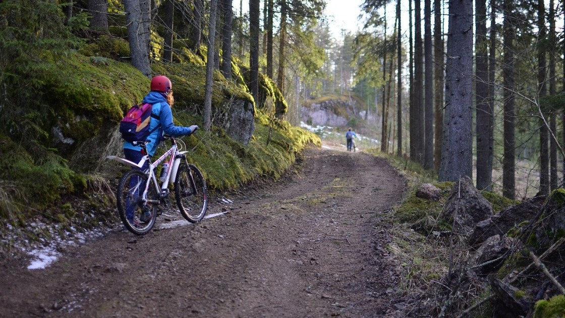 Обложка маршрута «Ореховская вело-пешеходная тропа»