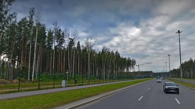 Обложка маршрута «Веломаршрут Парнас — Озерки в Санкт - Петербурге»