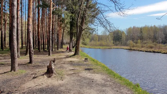 Обложка маршрута «Ржевский парк»