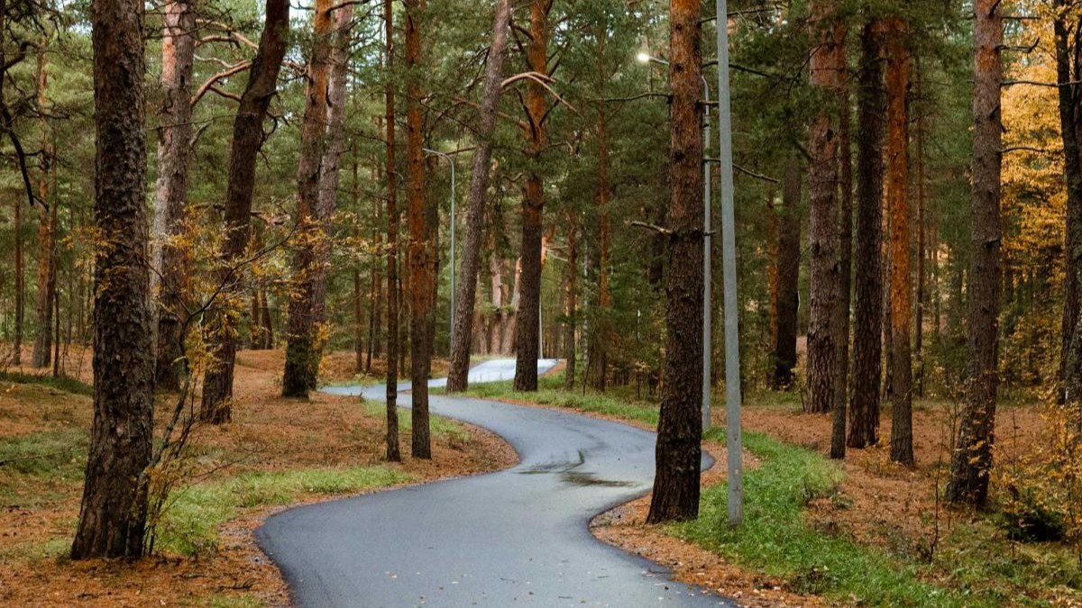 Обложка маршрута «Веломаршрут Ручьи — Озерки»