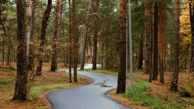 Обложка маршрута «Веломаршрут Ручьи — Озерки»
