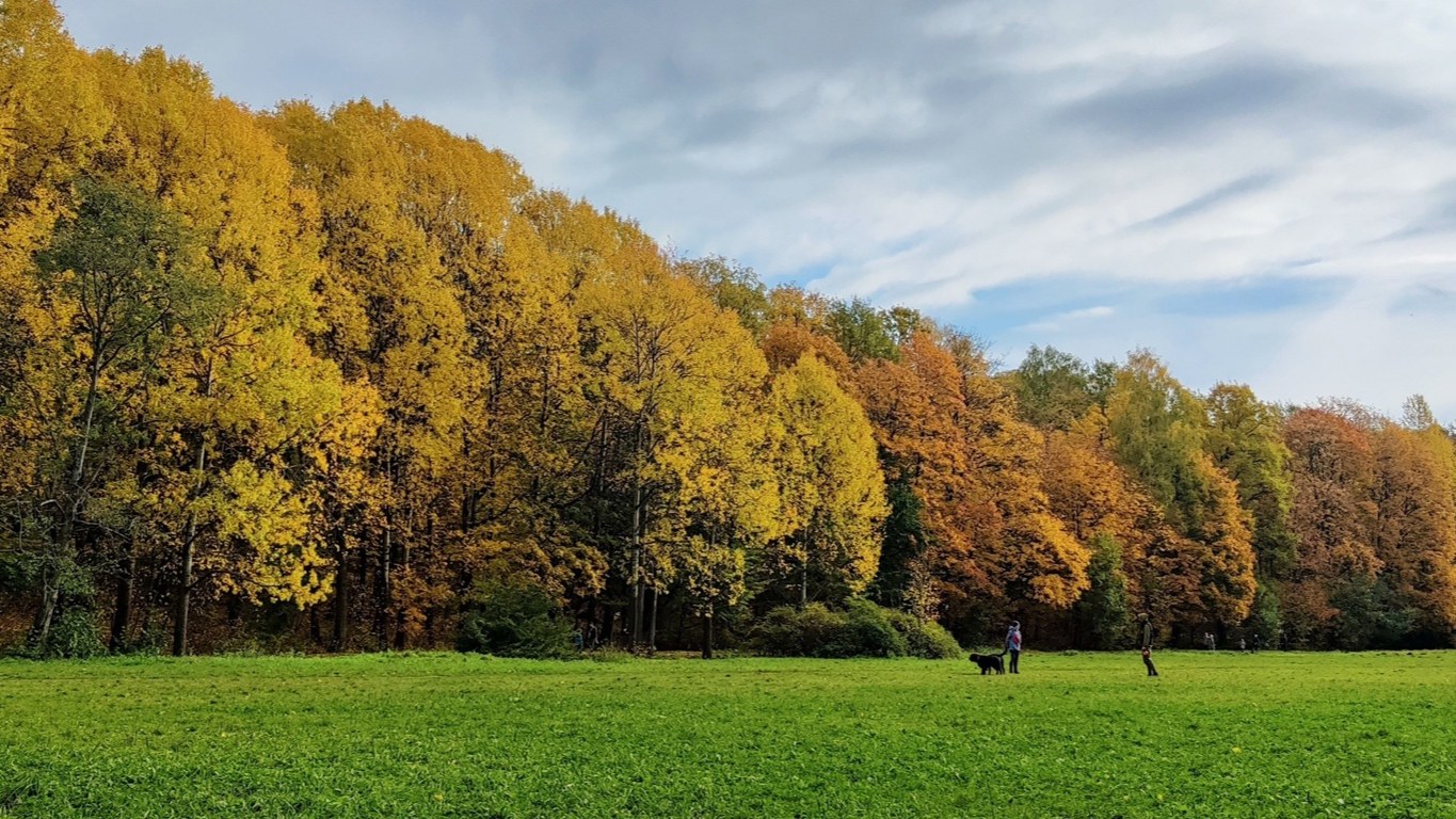 Обложка маршрута «Удельный парк»
