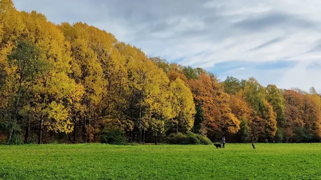 Обложка маршрута «Удельный парк»